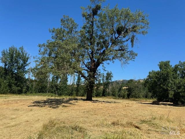 26010 Sharon Meadow Lane Yorkville CA 95494