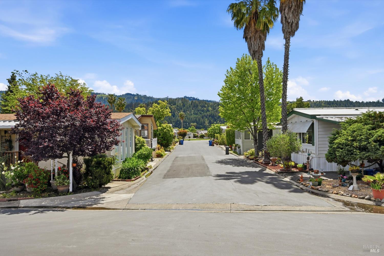 79 Iris Drive Calistoga CA 94515