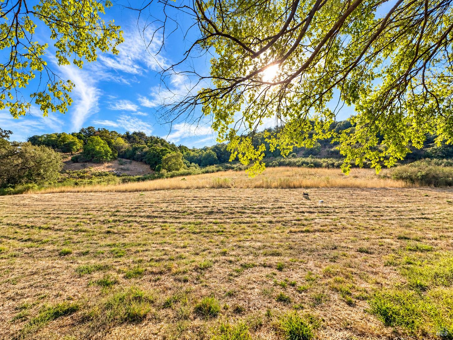 55 Yosemite Road San Rafael CA 94903