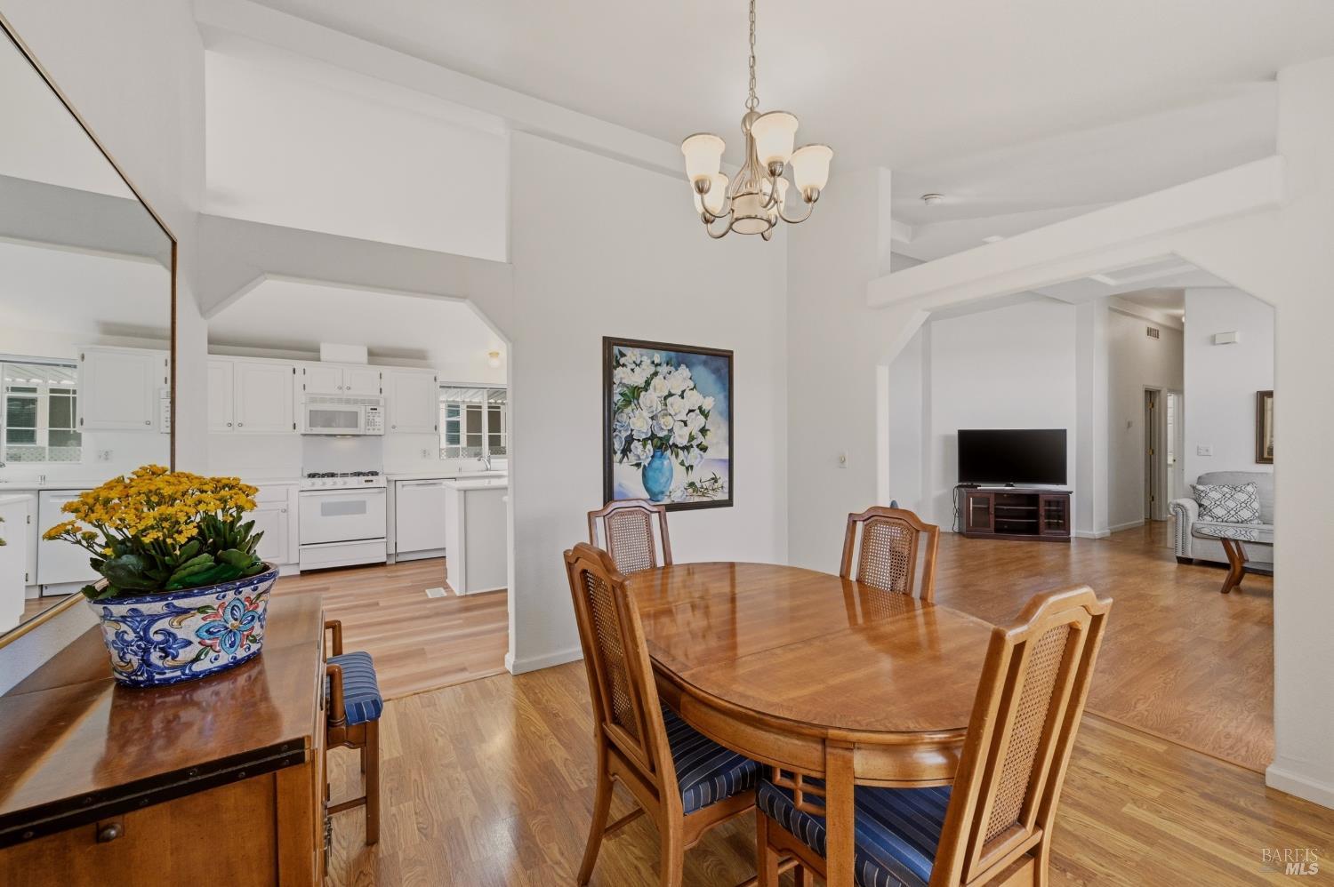 572 Birchwood Drive Petaluma CA 94954