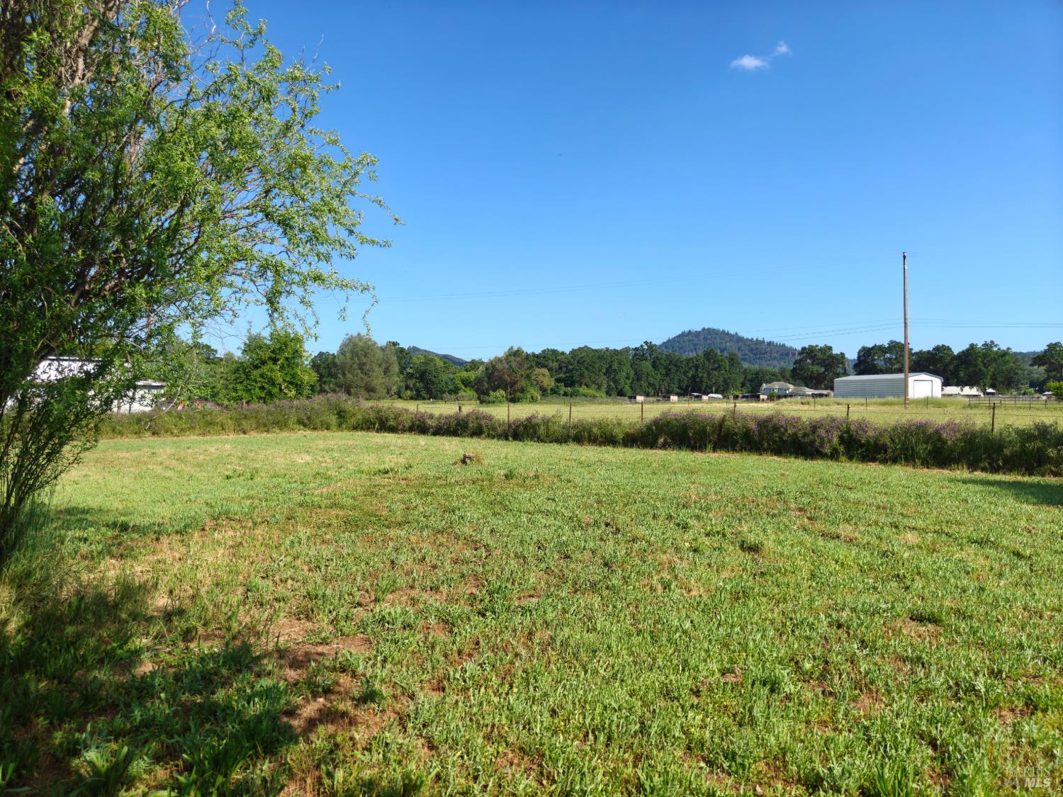 16643 Ellen Springs Road Lower Lake CA 95457