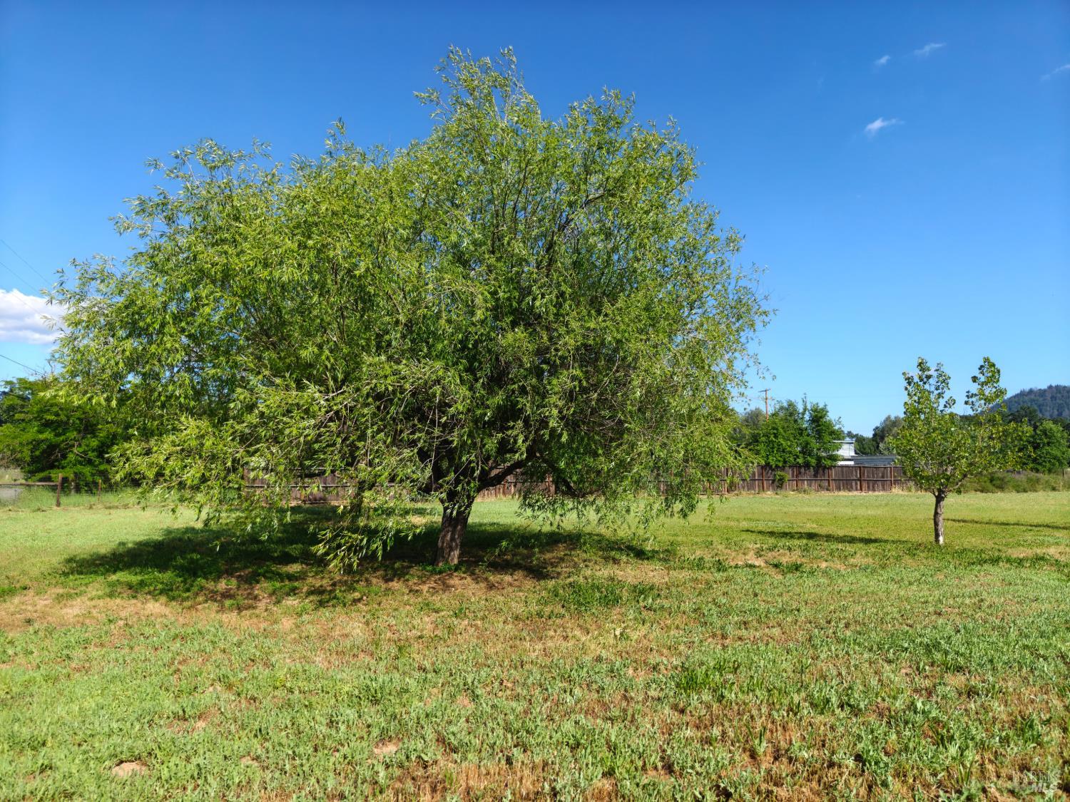 16643 Ellen Springs Road Lower Lake CA 95457