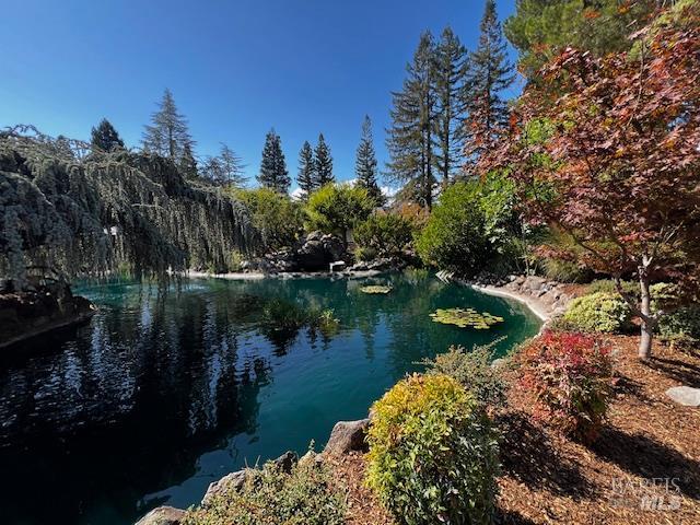 21 Redondo Court St. Helena CA 94574