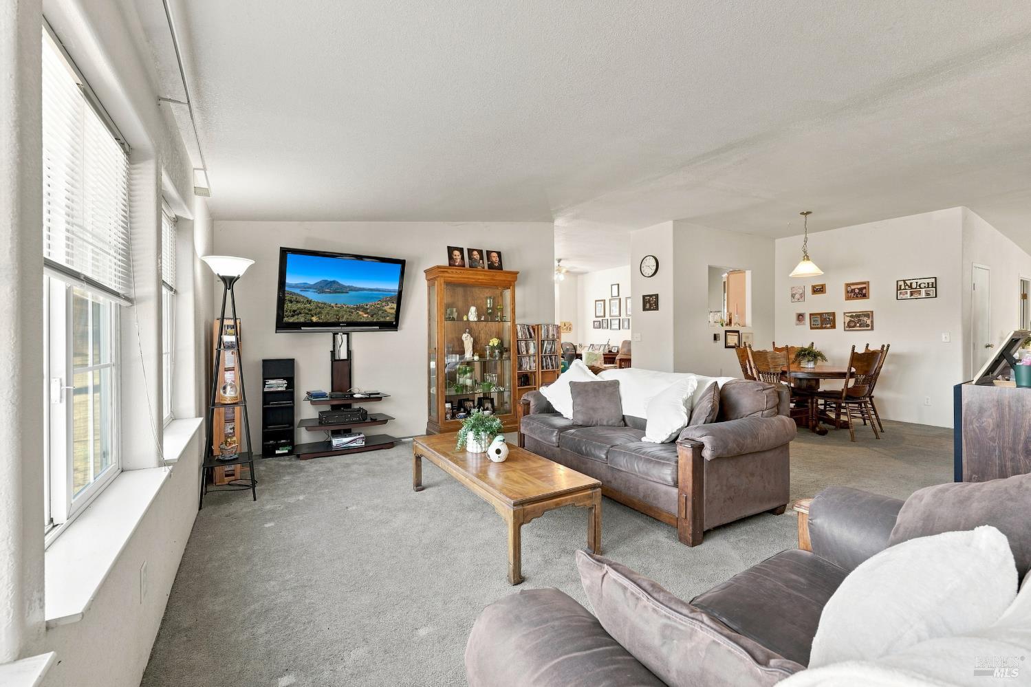 10540 Rocky Creek Road Lower Lake CA 95457
