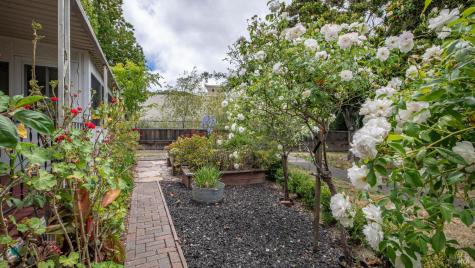 800 Las Palmas Avenue Novato CA 94949