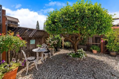 705 Sequoia Street Windsor CA 95492