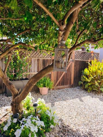 705 Sequoia Street Windsor CA 95492