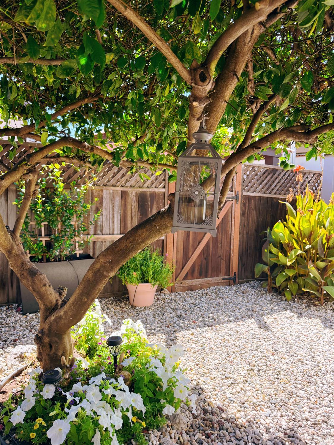 705 Sequoia Street Windsor CA 95492