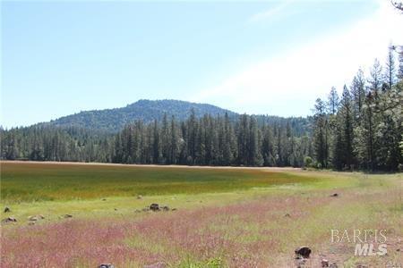 11322 Bottle Rock Road Kelseyville CA 95451