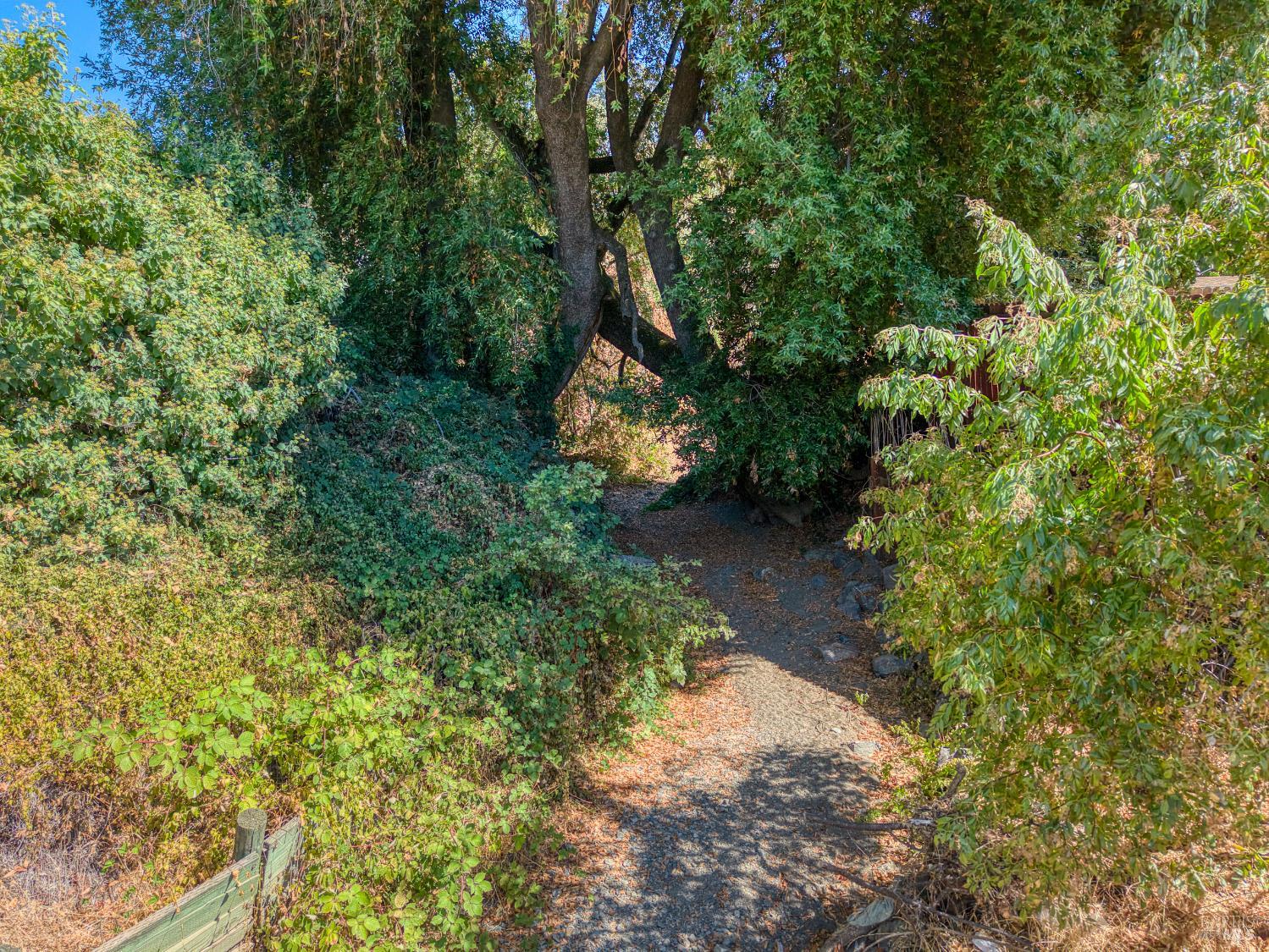 4434 Bush Street Lucerne CA 95458
