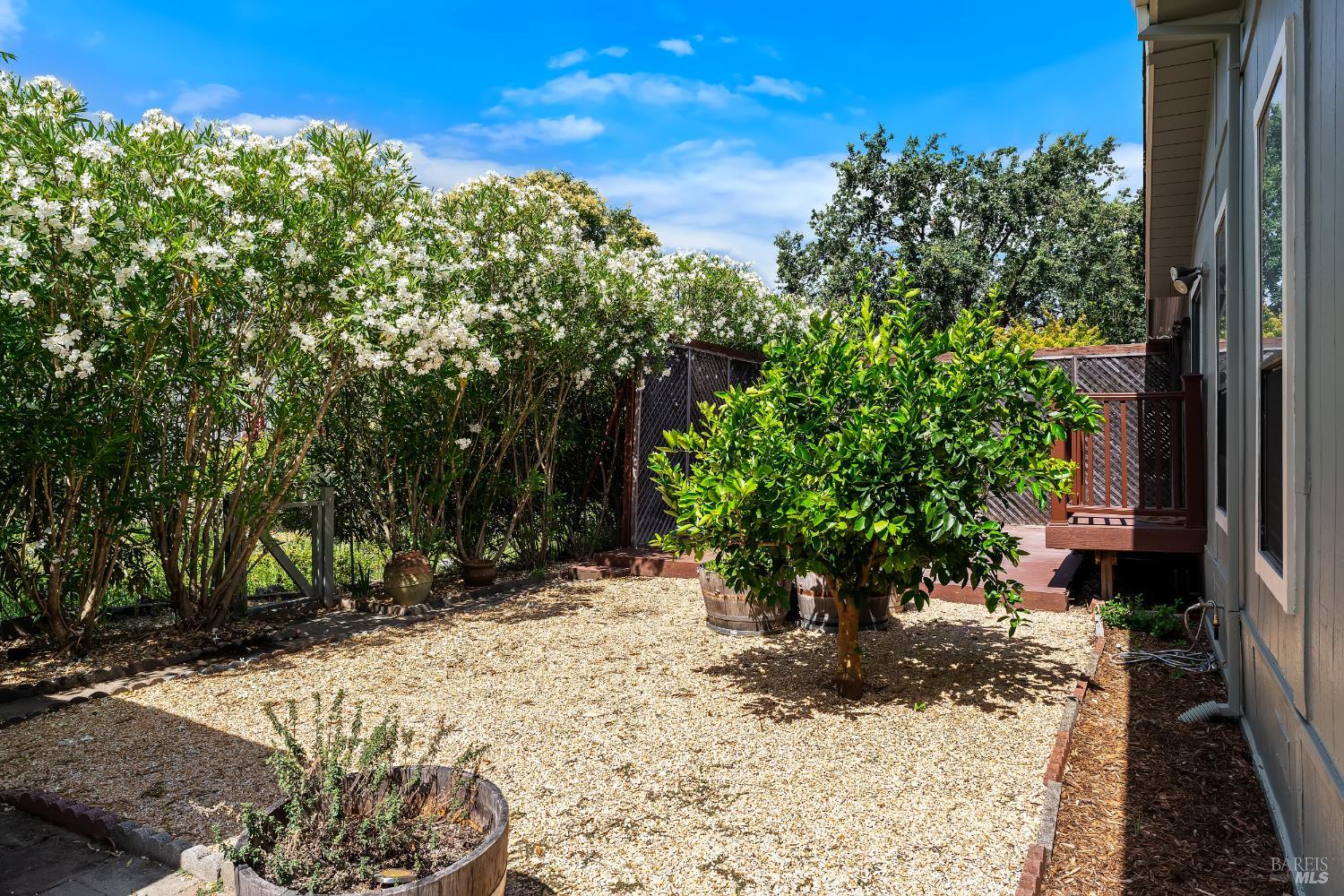 1038 Capewood Lane Windsor CA 95492