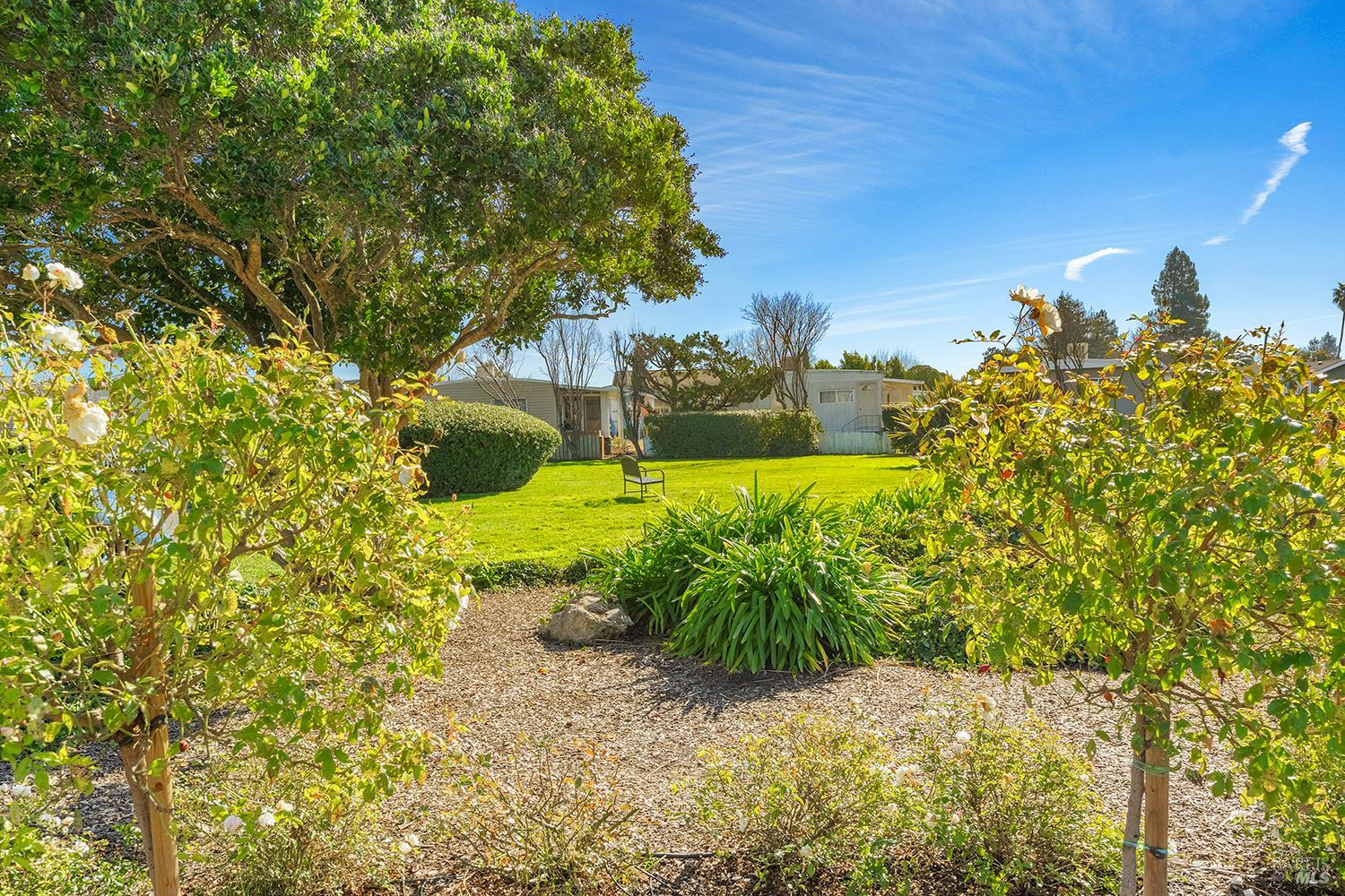 571 Birchwood Drive Petaluma CA 94954
