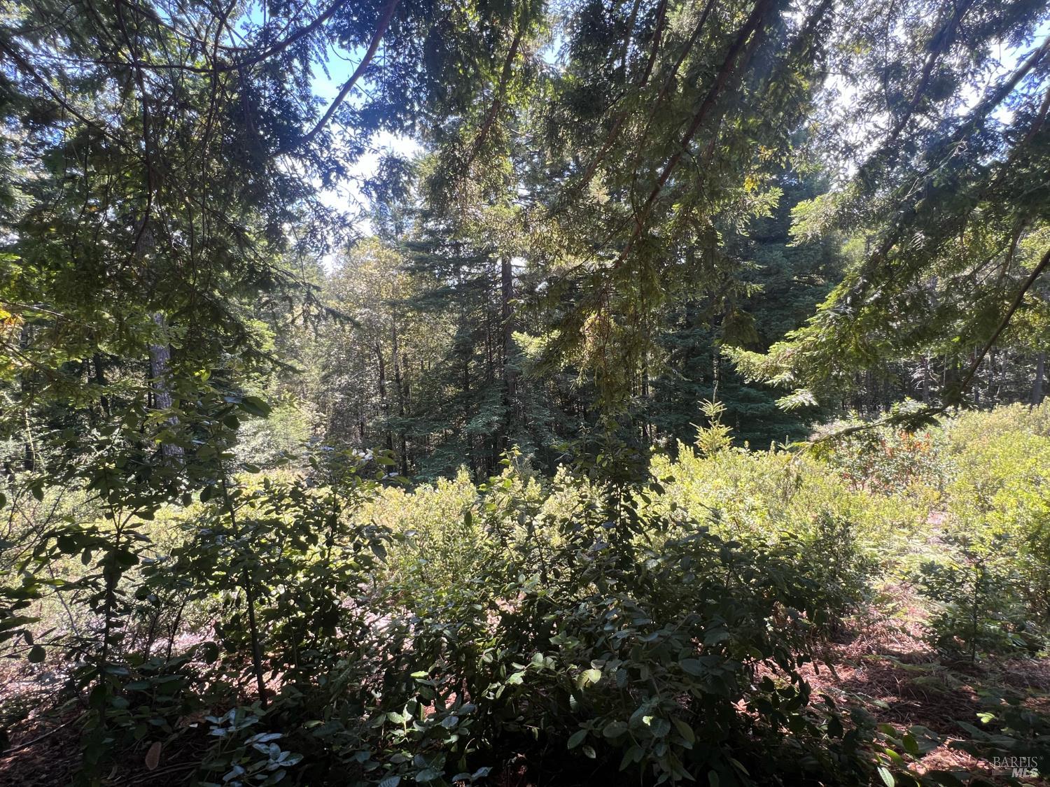 33482 Iversen Road Gualala CA 95445