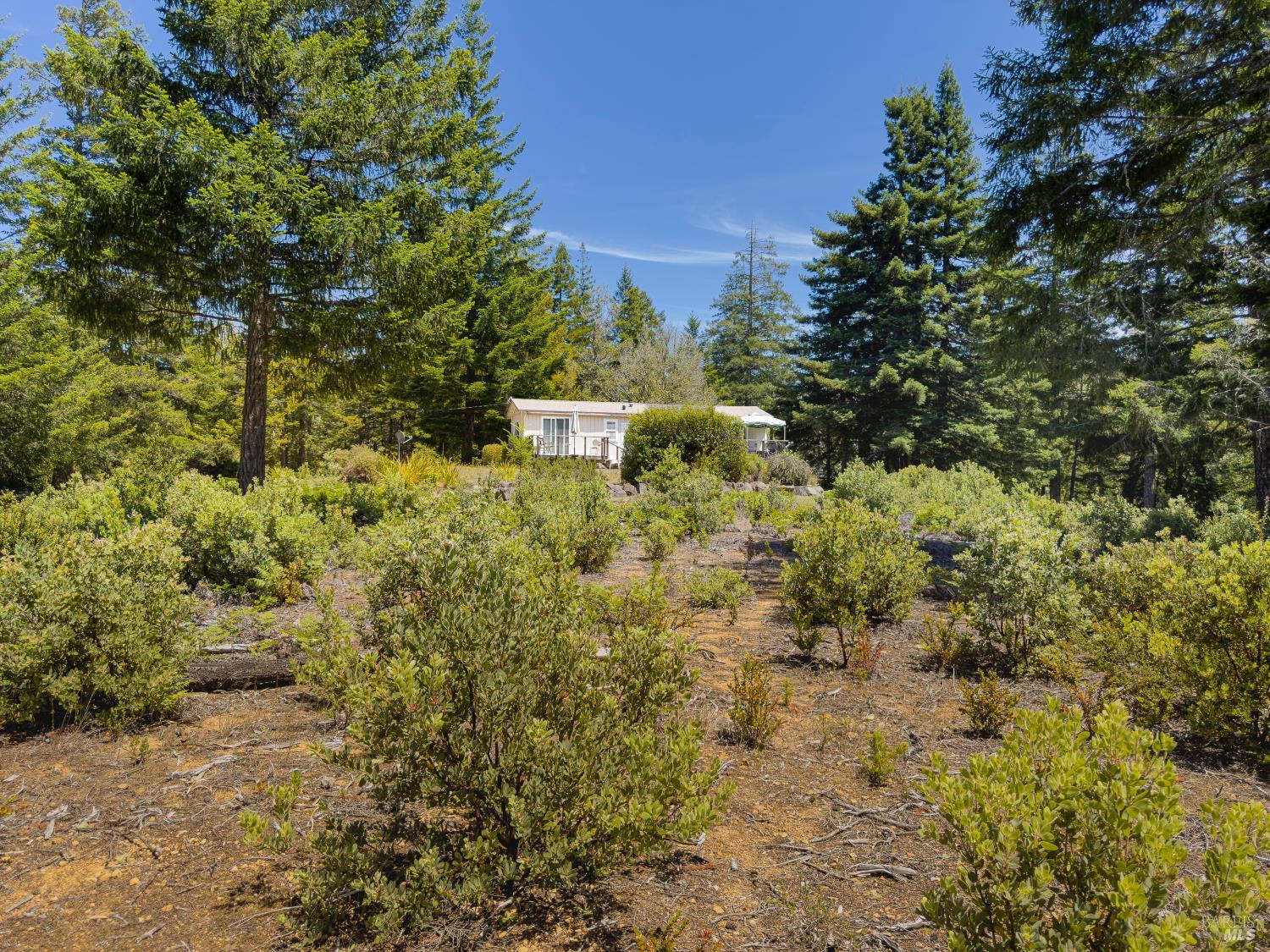 33482 Iversen Road Gualala CA 95445