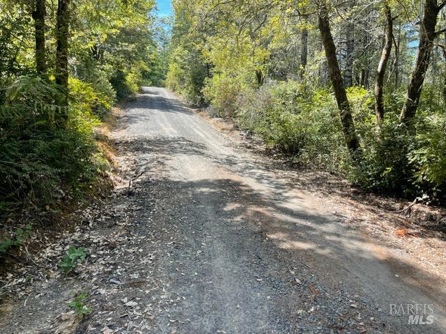 33482 Iversen Road Gualala CA 95445