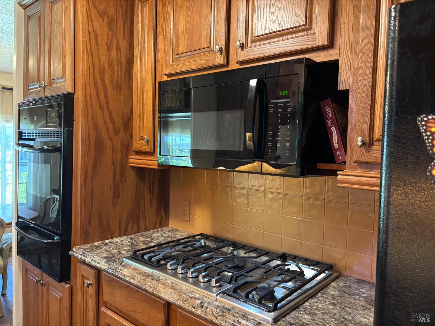 313 San Sebastian Drive Novato CA 94949