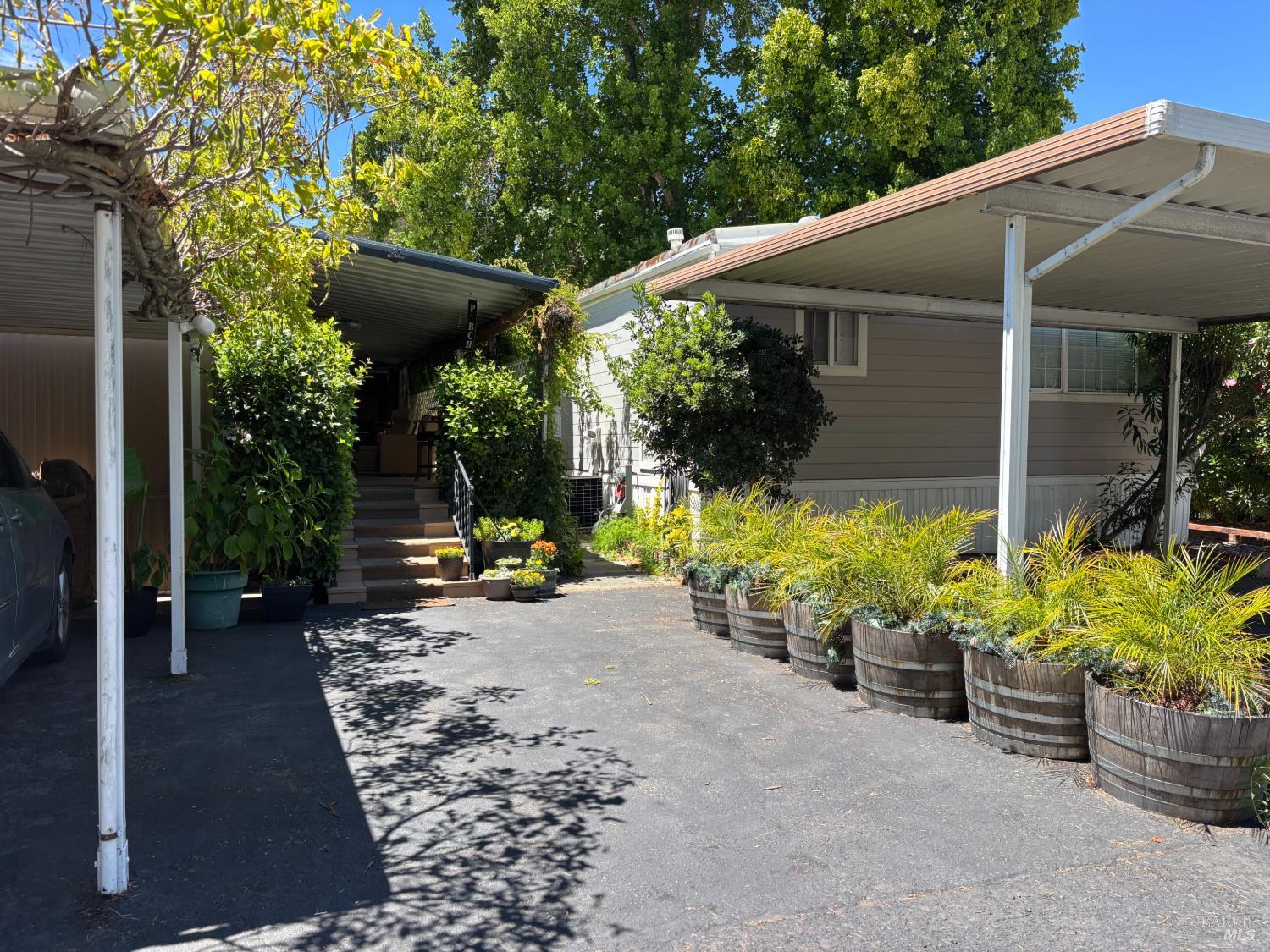 313 San Sebastian Drive Novato CA 94949