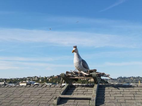 38 S 40 Dock Sausalito CA 94965