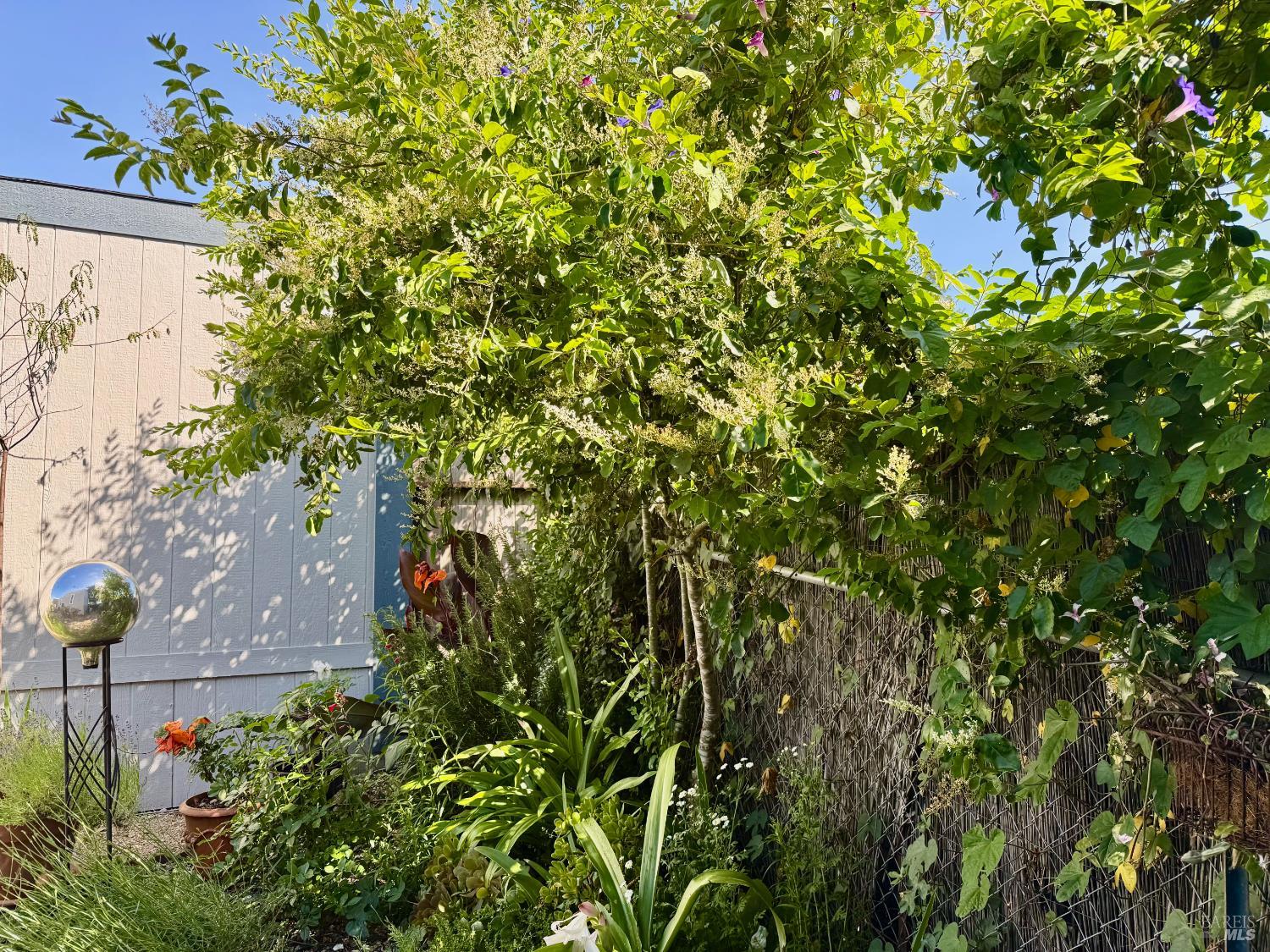 425 W Sierra Avenue Cotati CA 94931