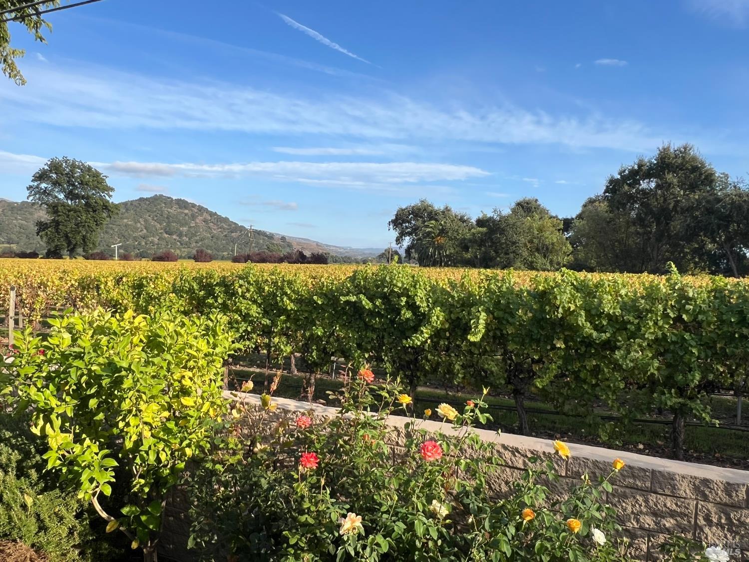105 Claret Circle Yountville CA 94559