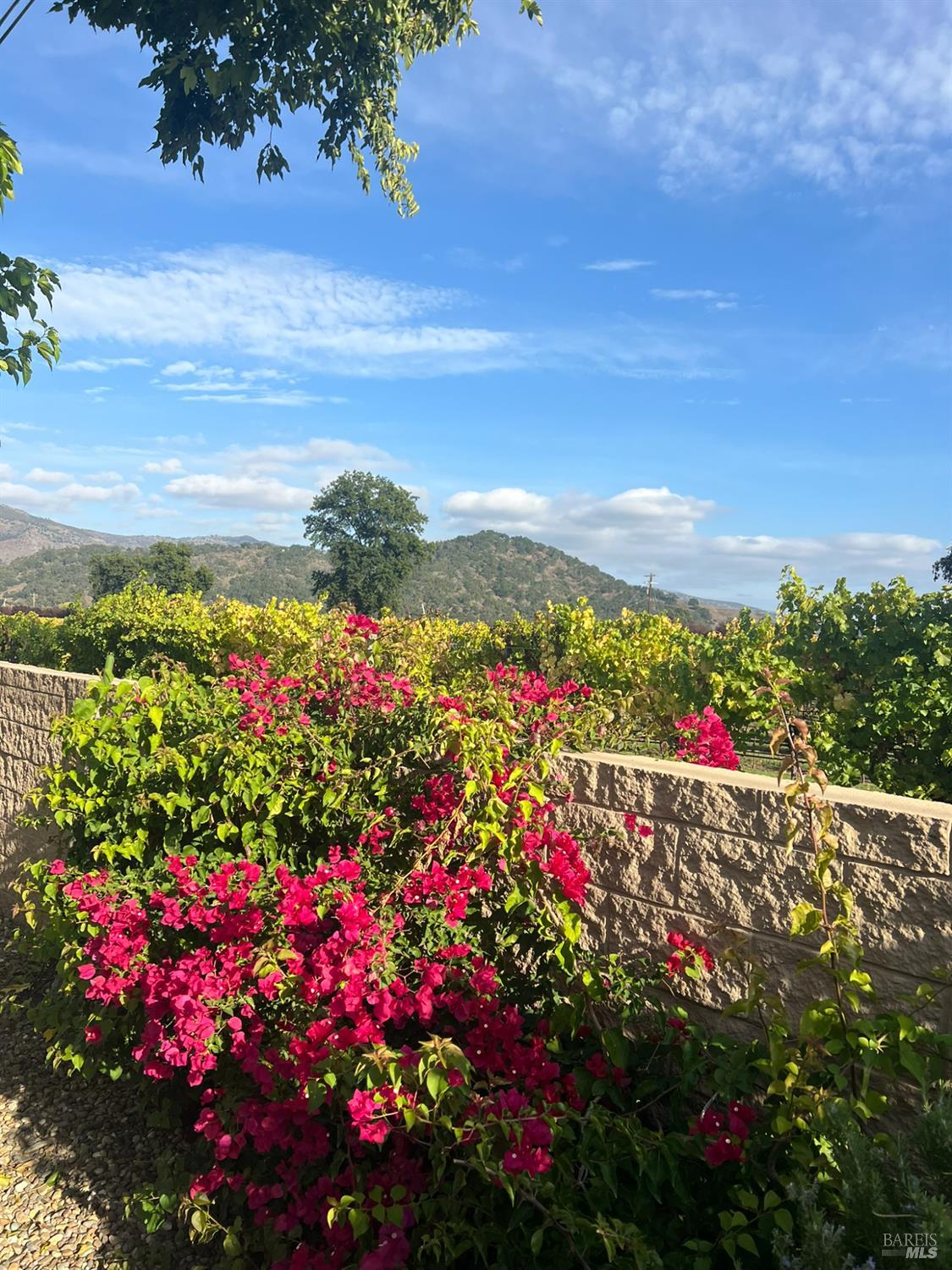 105 Claret Circle Yountville CA 94559
