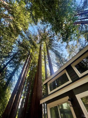 14755 Armstrong Woods Road Guerneville CA 95446