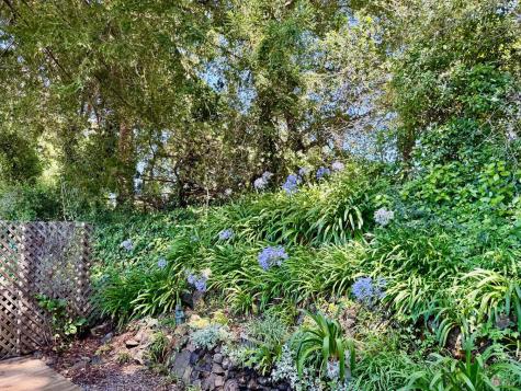 2 Bluejay Drive Santa Rosa CA 95409