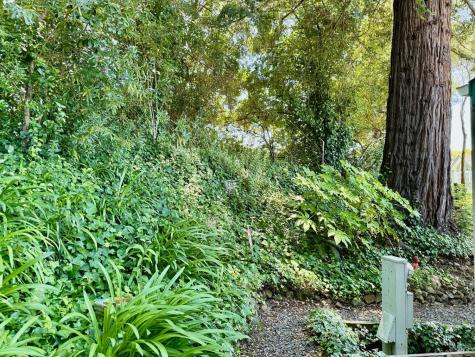2 Bluejay Drive Santa Rosa CA 95409