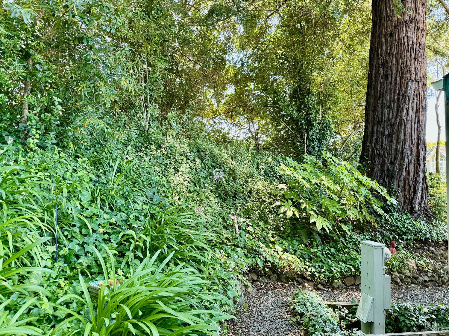 2 Bluejay Drive Santa Rosa CA 95409