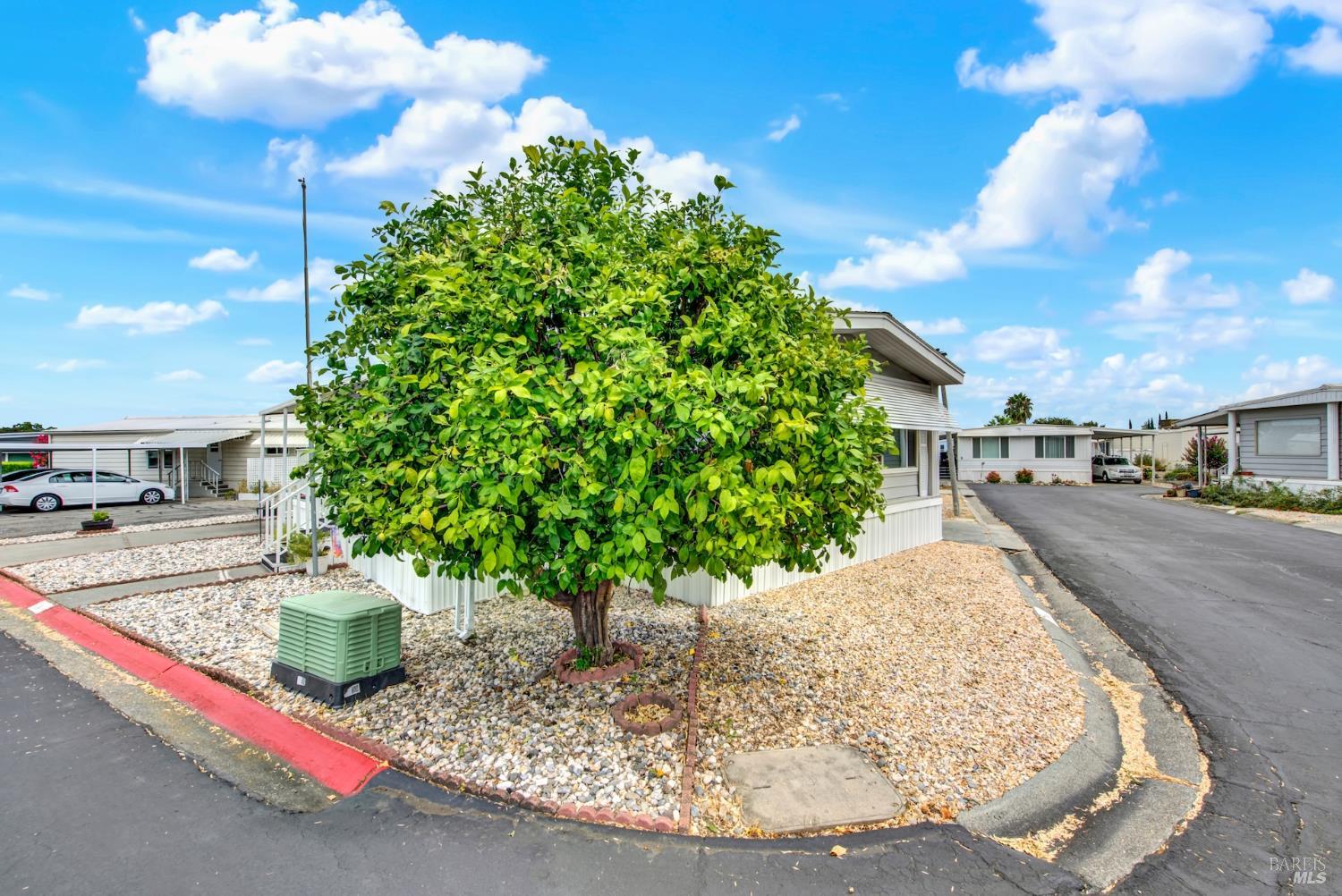 14 Lemon Tree Circle Vacaville CA 95687