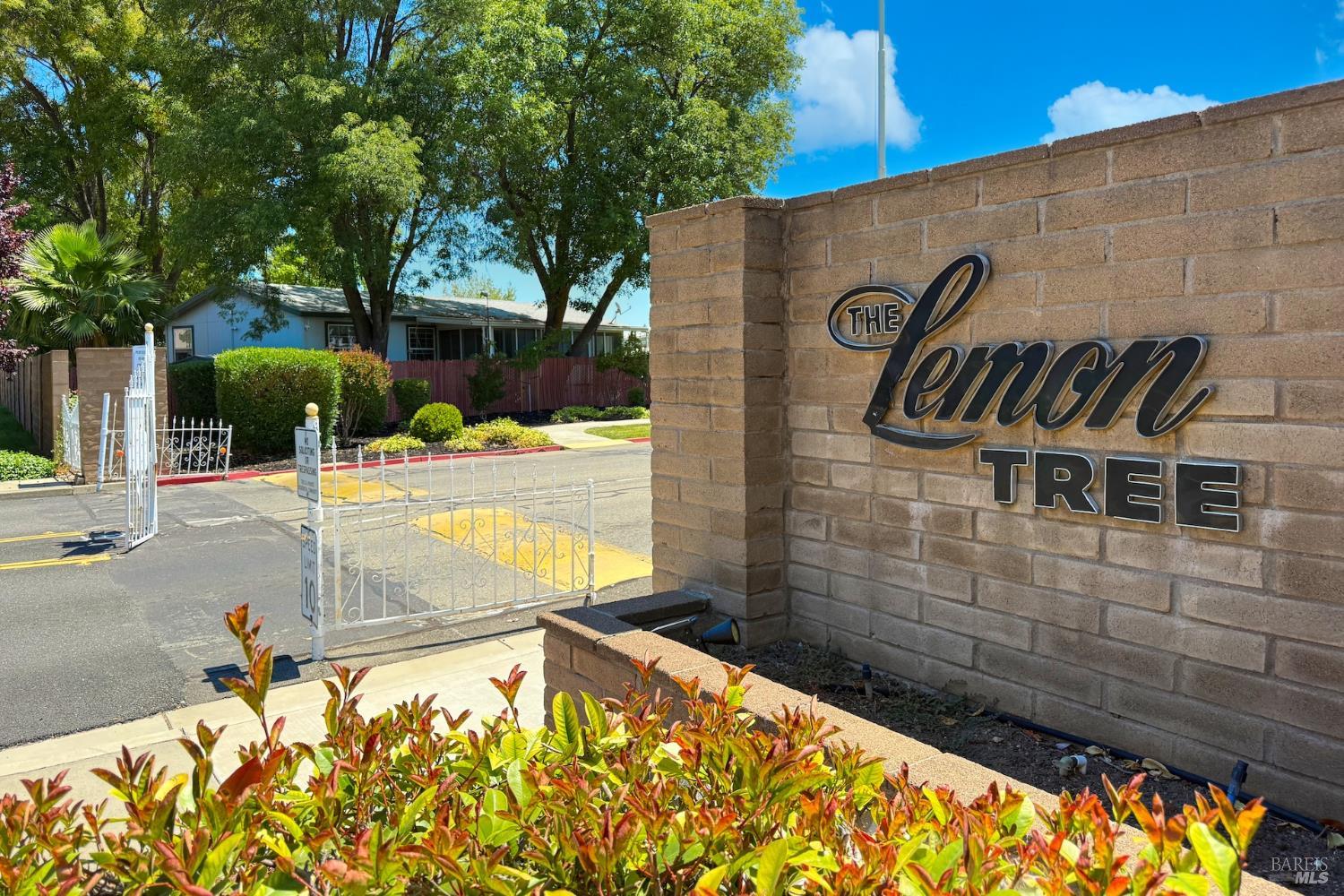 14 Lemon Tree Circle Vacaville CA 95687