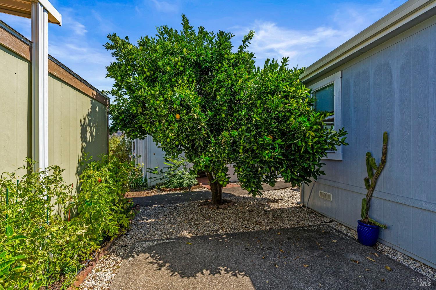 6468 Washington Street Yountville CA 94599