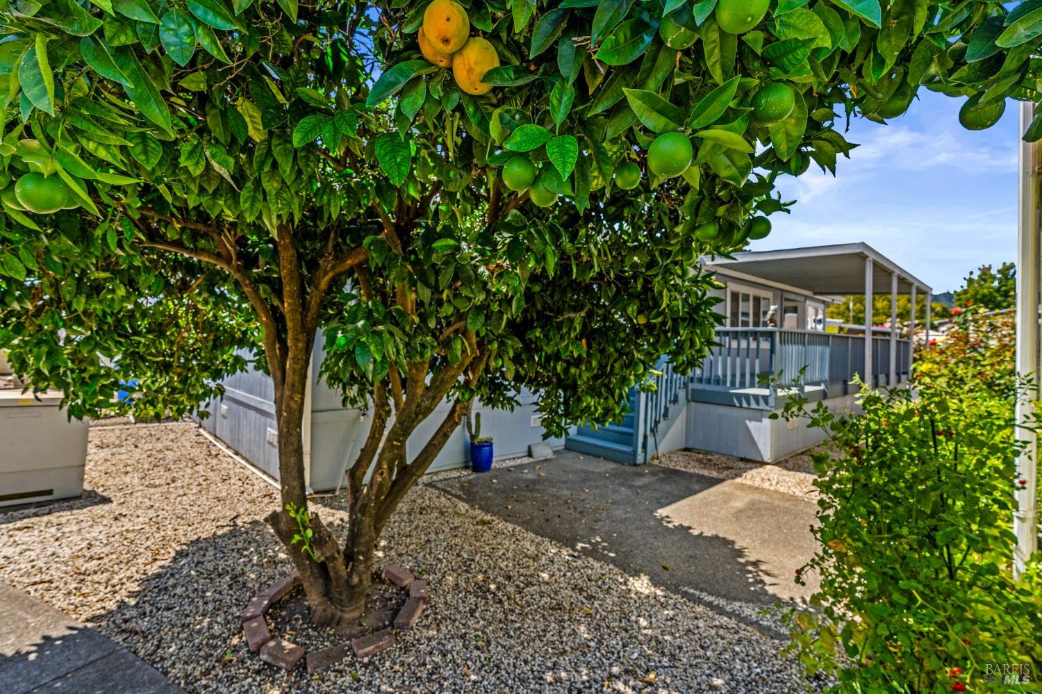 6468 Washington Street Yountville CA 94599