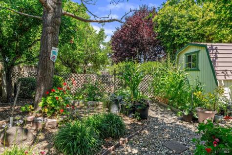 8009 Cliffrose Street Windsor CA 95492