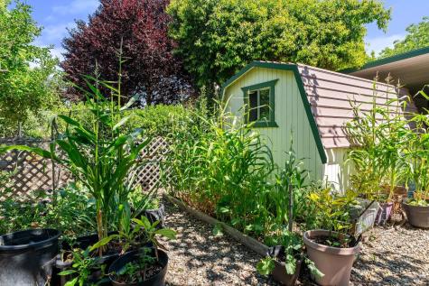 8009 Cliffrose Street Windsor CA 95492