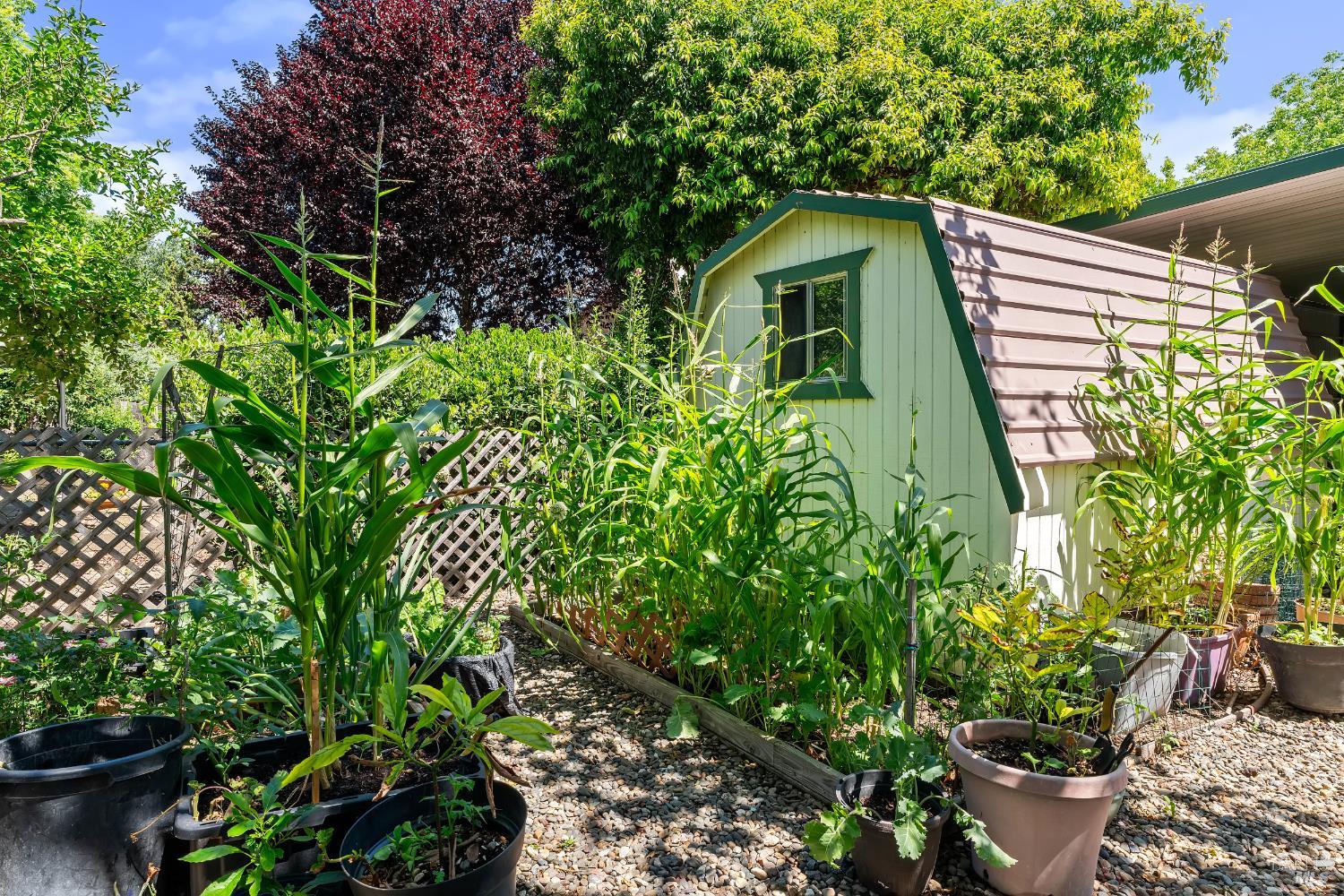 8009 Cliffrose Street Windsor CA 95492