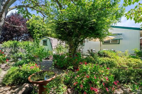 8009 Cliffrose Street Windsor CA 95492