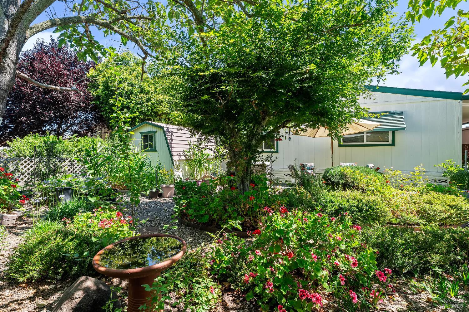 8009 Cliffrose Street Windsor CA 95492