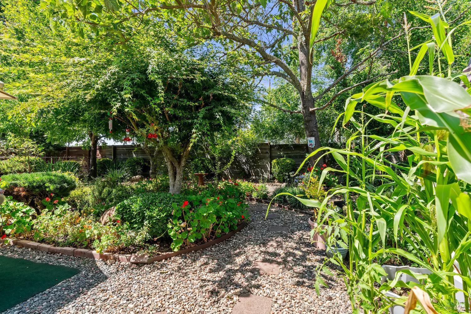 8009 Cliffrose Street Windsor CA 95492