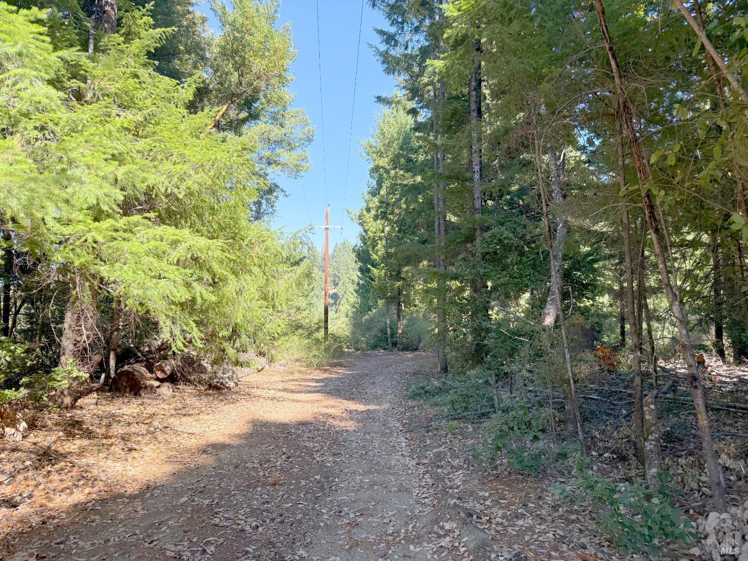 6060 Wilder Ridge Road Garberville CA 95542