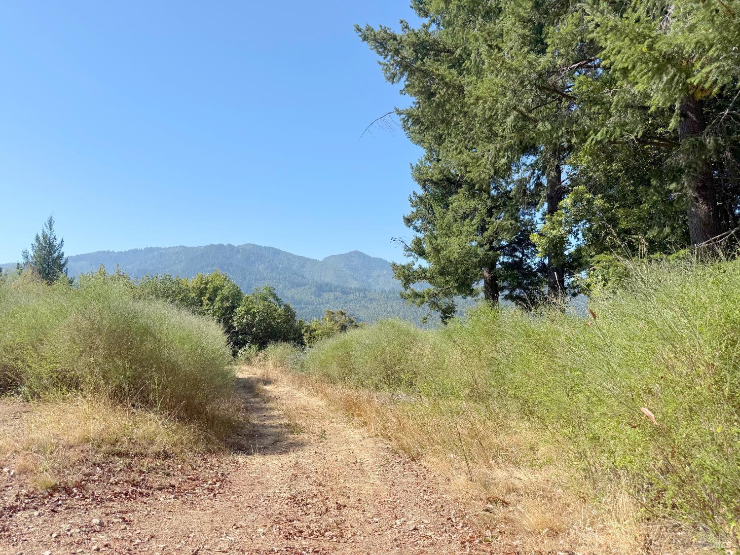6060 Wilder Ridge Road Garberville CA 95542