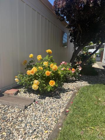 158 Chiquita Camino Sonoma CA 95476