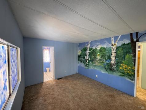 28 Springhill Court Santa Rosa CA 95409