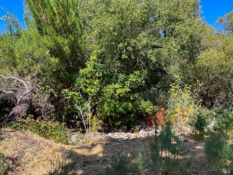 56 Portola Circle Sonoma CA 95476