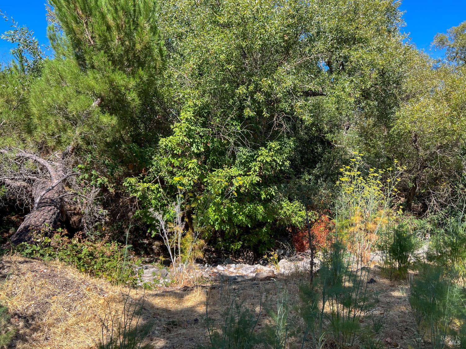 56 Portola Circle Sonoma CA 95476
