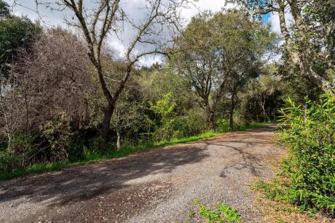 81 Pixy Place Santa Rosa CA 95409