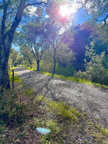 81 Pixy Place Santa Rosa CA 95409