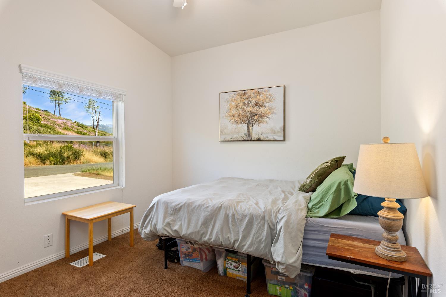 21272 Stewart Street Middletown CA 95461