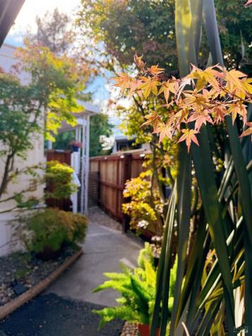 86 Cottonwood Lane Rohnert Park CA 94928