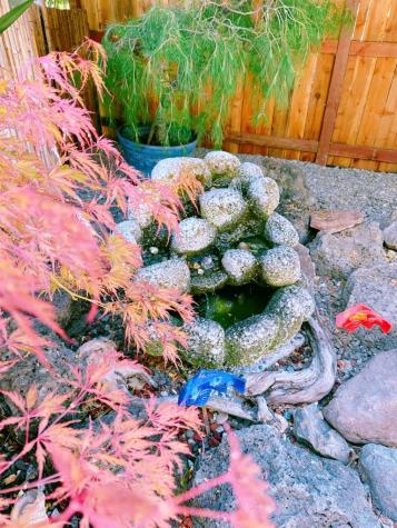 86 Cottonwood Lane Rohnert Park CA 94928